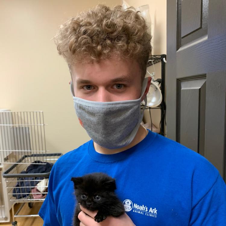 Noah�s Ark Animal Clinic West Chester, OH